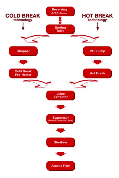 Tomato Paste Processing Harpakfood